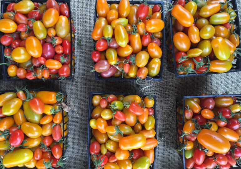 The Best Farmers Markets in SoCal