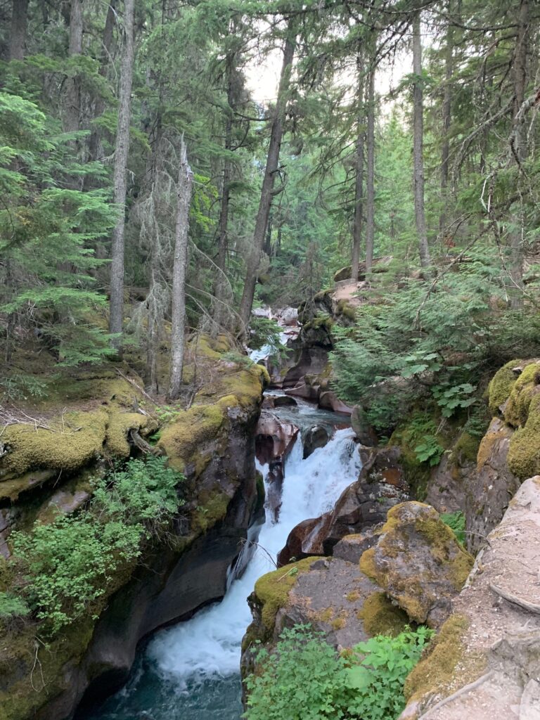 trail of the cedars glacier