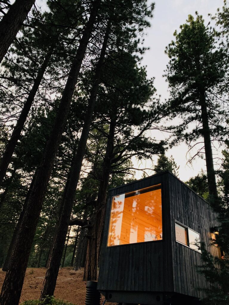 unique cabin in the woods