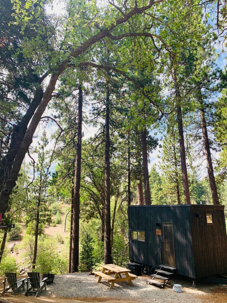 tiny cabin in big bear